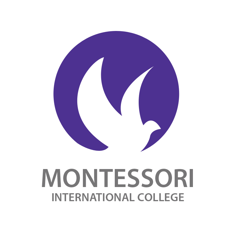 Montessori Logo Schools Review
