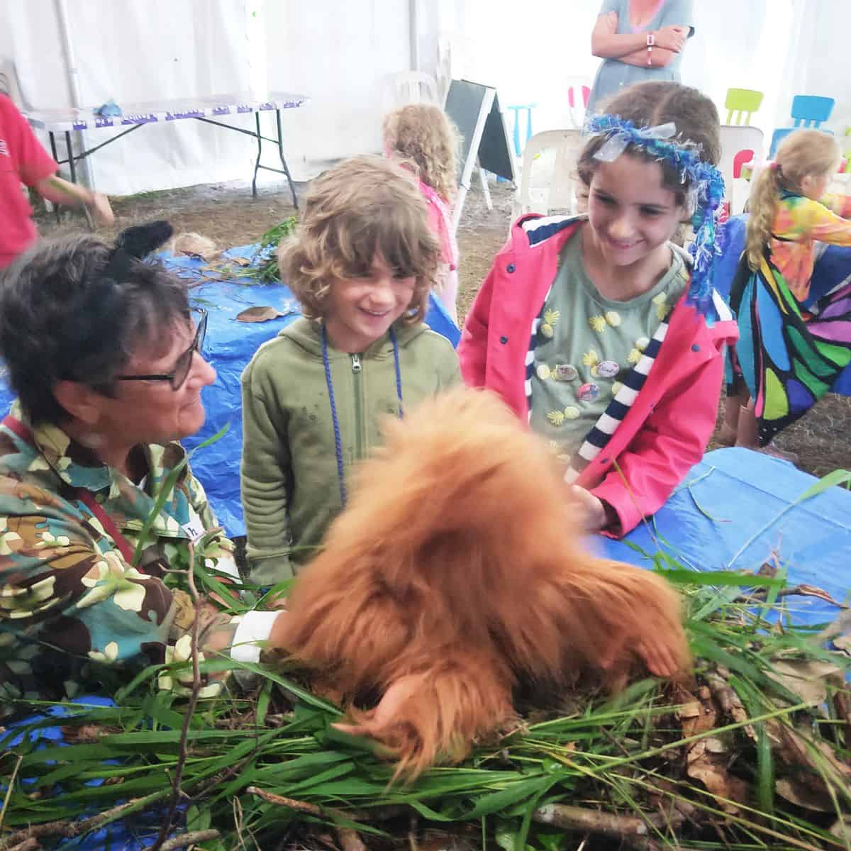 Pongo Trying Out His Nest Woodford Folk Festival
