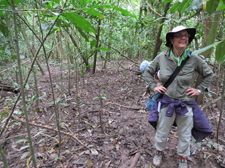 Sarah Pye Author Speaker Environmentalist Walking Tour of Borneo2