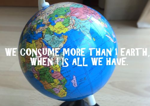 Consumption How Many Earths