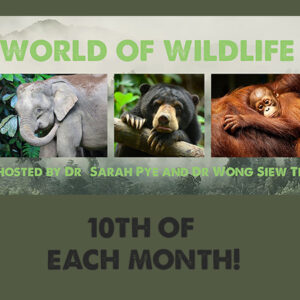 World Of Wildlife Online Meeting