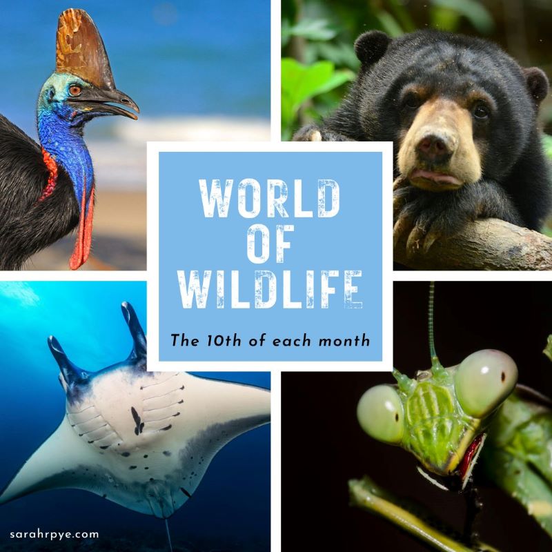 World of Wildlife Monthly Online Community