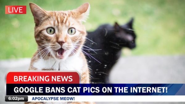 Fake News Civics Education