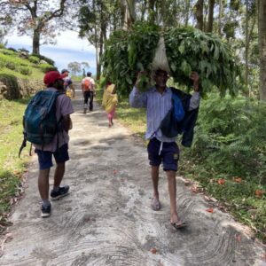 Carrying Tea The Pekoe Trail