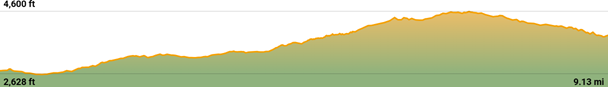 Galaha To Loolkadura Stage 2 Elevations