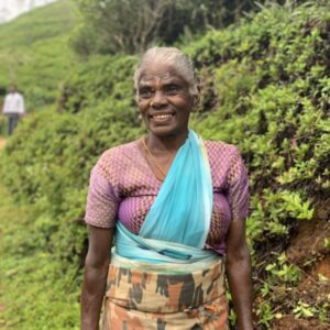 Tea Planter The Pekoe Trail