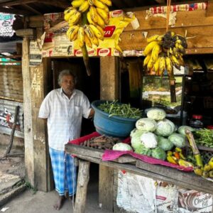 Village Life The Pekoe Trail