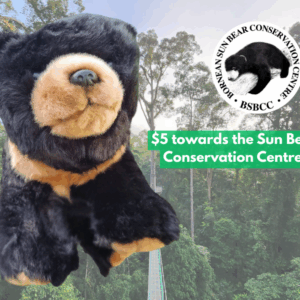 Sun Bear Plush Toy, Sun Bear Conservation Centre