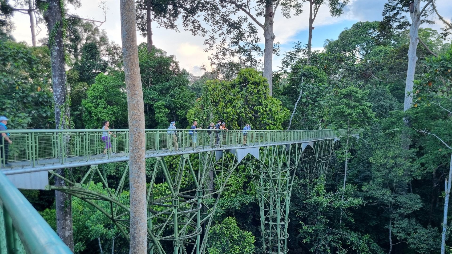 Borneo Adventures 2026 With Dr Sarah Pye Tour Header