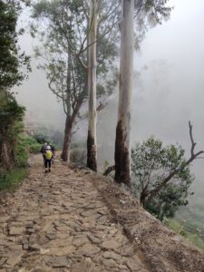 Misty-cobblestone